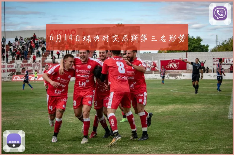 6月14日瑞典对突尼斯第三名形势