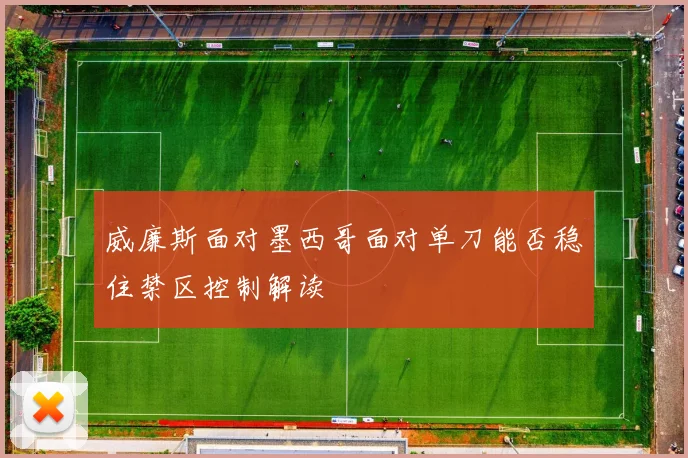 威廉斯面对墨西哥面对单刀能否稳住禁区控制解读
