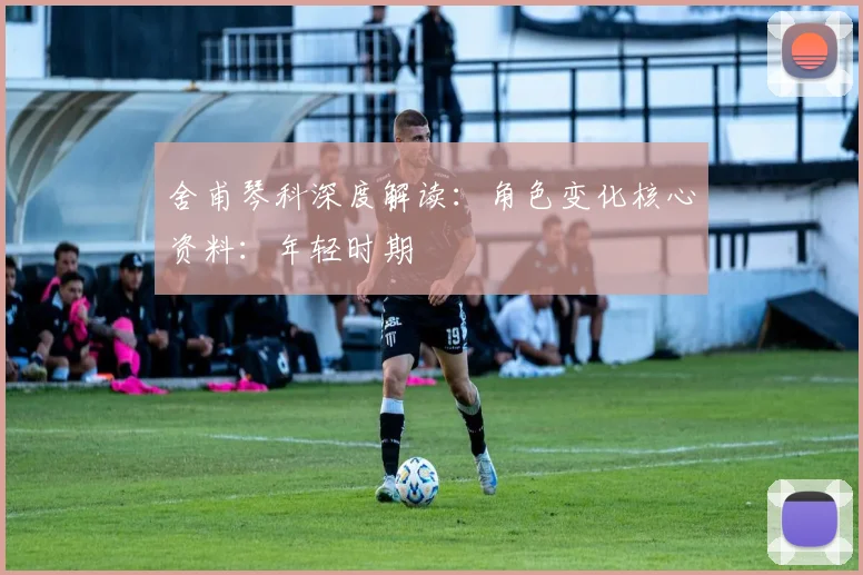 舍甫琴科深度解读:角色变化核心资料:年轻时期